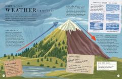 There's a Mountain in This Book