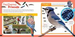 Little Kids First Nature Guide Birds