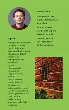 Titlul este ultima problema