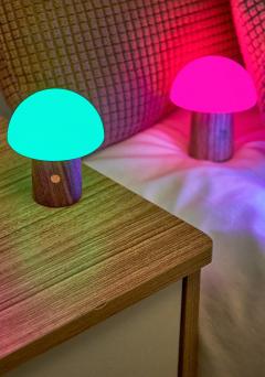 Lampa decorativa - Super Mini Alice Mushroom - White Ash