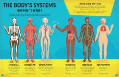 Brilliant Bodies Inside and Out