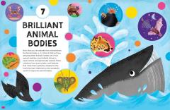 Brilliant Bodies Inside and Out