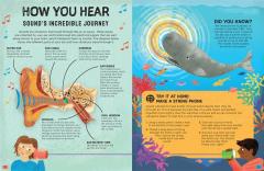 Brilliant Bodies Inside and Out