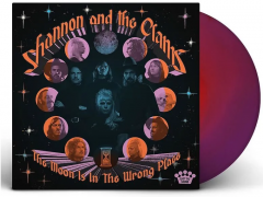 The Moon Is In The Wrong Place (33 RPM) - Blue Marble Vinyl
