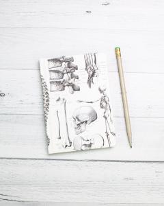 Set 4 caiete - Anatomie