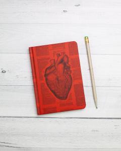 Set 4 caiete - Anatomie