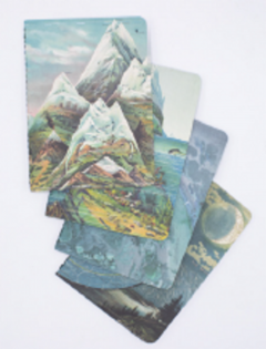 Set 4 caiete - Planeta Pamant