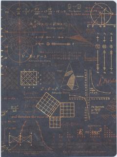 Caiet - Ecuatii care au schimbat lumea