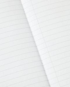 Caiet - Infectious Disease