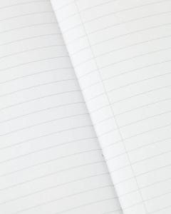 Caiet - Anatomie: Sistemul vascular