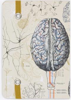 Carnet A5 - Brain