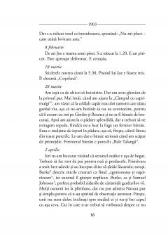 Jurnalul unui om dezamagit