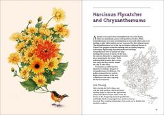 Birds and Flowers in Colored Pencil