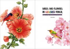 Birds and Flowers in Colored Pencil