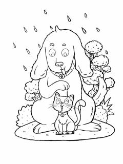 Chinese Zodiac Animals Coloring Book