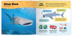 The Fantastic World of Fish