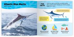 The Fantastic World of Fish