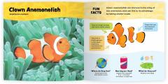 The Fantastic World of Fish