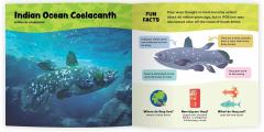 The Fantastic World of Fish