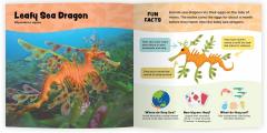 The Fantastic World of Fish