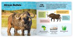 The Fantastic World of African Animals