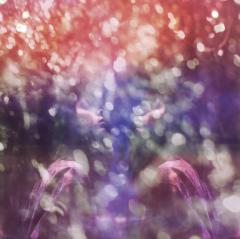 Maybeshewill (Opaque Hot Pink & Black Marble Vinyl)