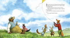 Hector Vulpoi si zborul indraznet