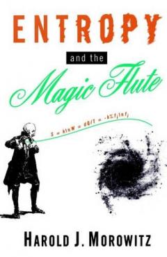 Entropy And The Magic Flute