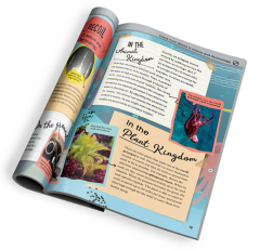 Set educativ STEM - Vehicule propulsate cu apa