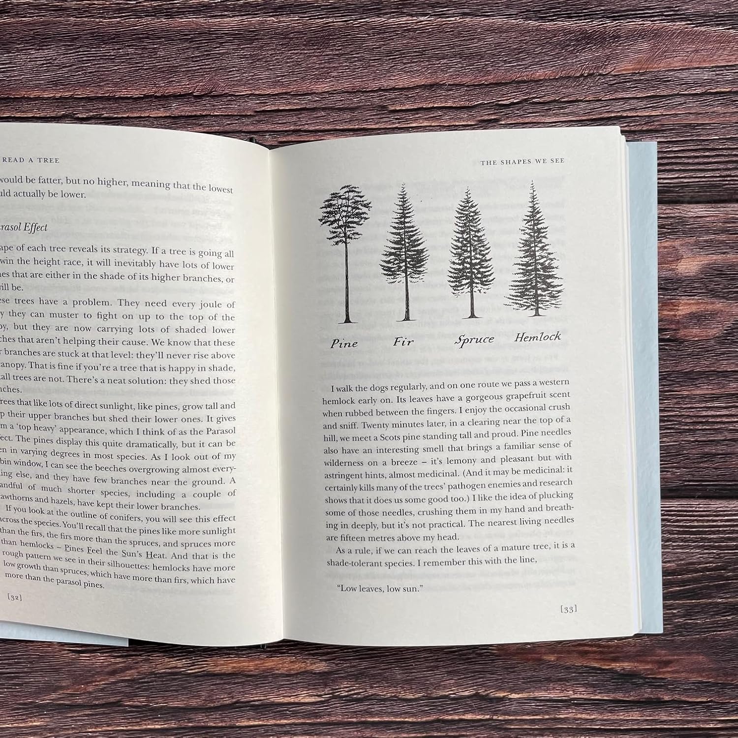 How to read a tree tristan gooley