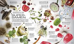 13 1/2 unglaubliche Fakten