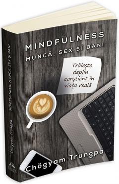 Mindfulness. Munca, sex si bani 