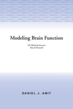 Modeling Brain Function