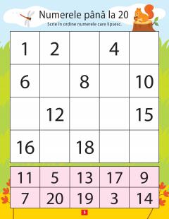 Activitati matematice