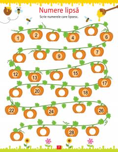 Activitati matematice
