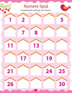 Activitati matematice