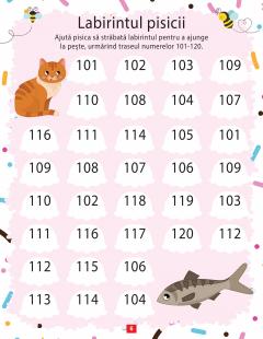 Activitati matematice