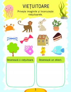 Activitati stiintifice