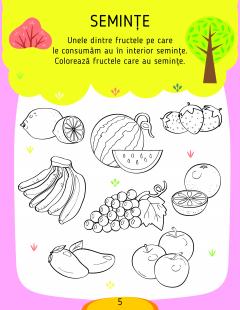 Activitati stiintifice