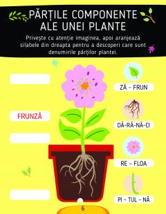 Activitati stiintifice