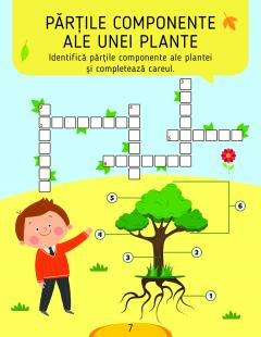 Activitati stiintifice