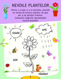 Activitati stiintifice