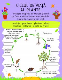 Activitati stiintifice