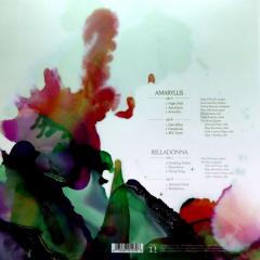 Amaryllis & Belladonna - Vinyl