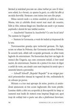 Gemenele de la Auschwitz