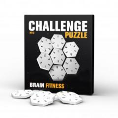 Challenging Puzzle Nr. 3