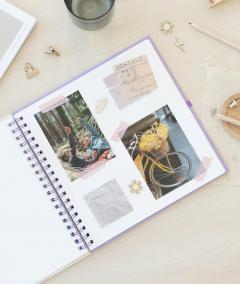 Album foto - Kokonote - Wild Flowers