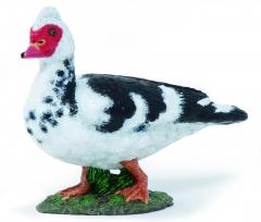 Figurina - Rata domestica