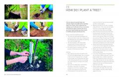 Kew Answers for Everyday Gardeners