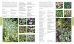 Encyclopedia of Plants and Flowers